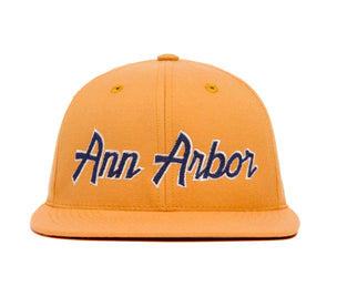 Ann Arbor Chain II wool baseball cap