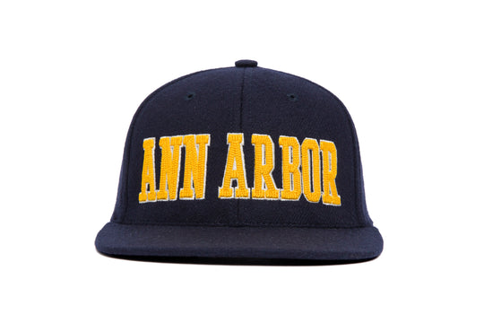 Ann Arbor 3D Chain wool baseball cap