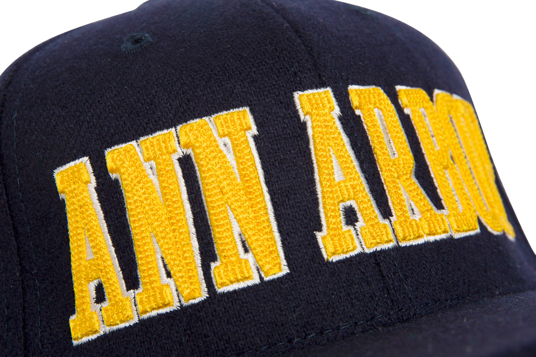 Ann Arbor 3D Chain wool baseball cap