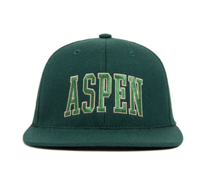 ASPEN wool baseball cap