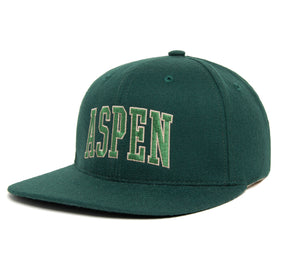 ASPEN wool baseball cap