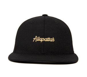 Allapattah Microscript wool baseball cap