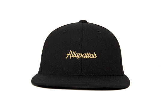 Allapattah Microscript wool baseball cap