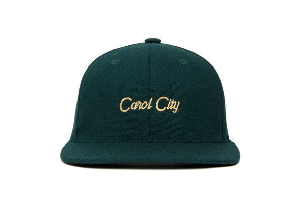 Carol City Microscript