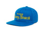 Dewey Beach
    wool baseball cap indicator