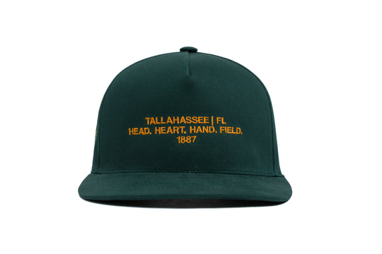 FAMU Name Brushed Twill 5-Panel wool baseball cap