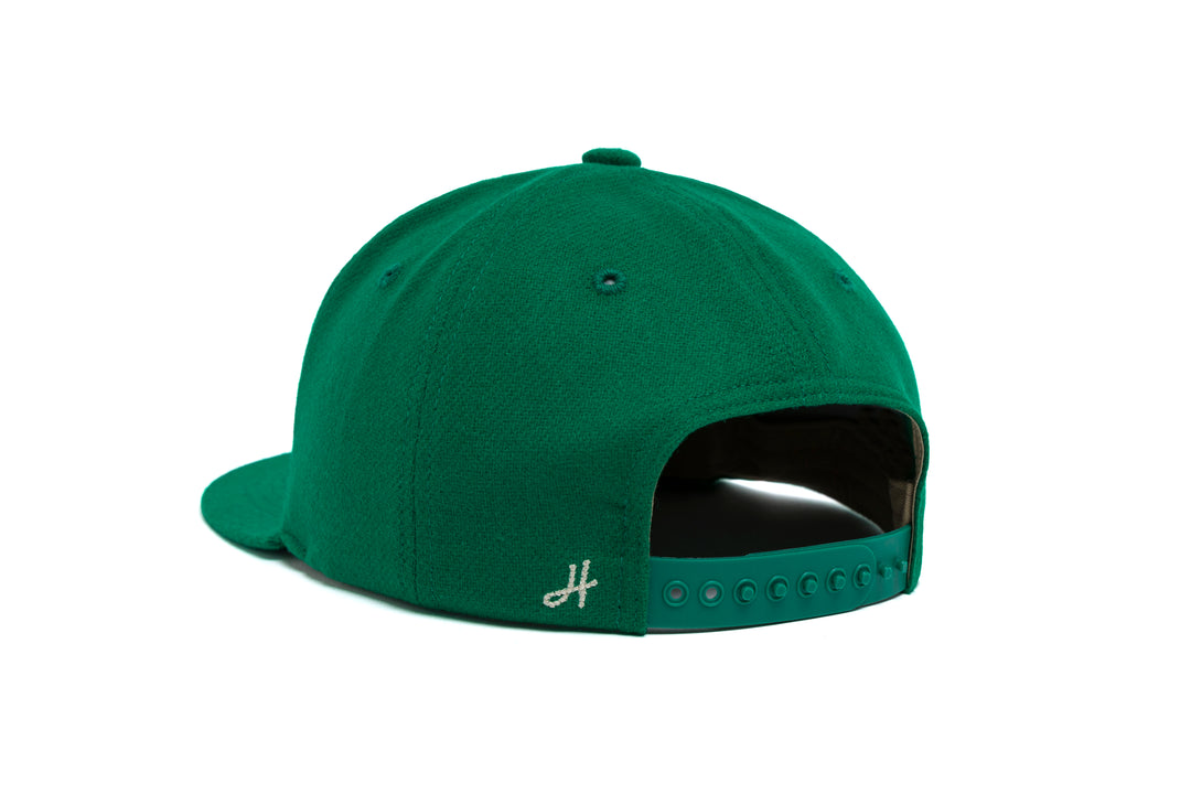 FAMU Neutra 3D Chain Wool wool baseball cap