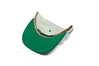 FAMU Rattler Pinstripe Two Tone
    wool baseball cap indicator