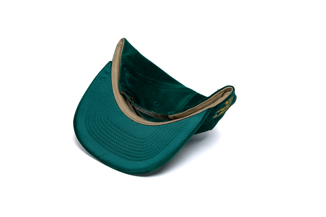 FAMU Wordmark 3D Chain Velvet wool baseball cap