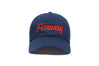 Fenway Chain Dad
    wool baseball cap indicator