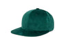 Clean Forest Velvet
    wool baseball cap indicator
