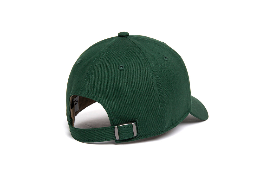 Clean Forest Dad Hat wool baseball cap
