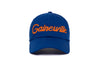 Gainesville Chain Dad
    wool baseball cap indicator