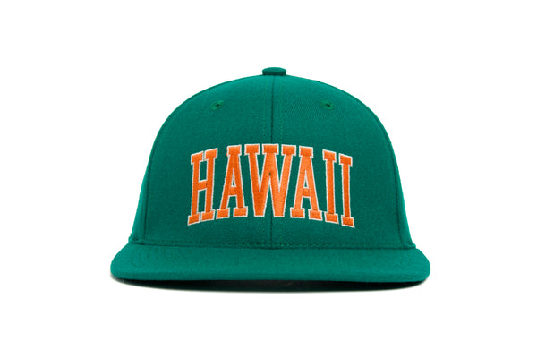 HAWAII Hat Wool Baseball Cap HOOD