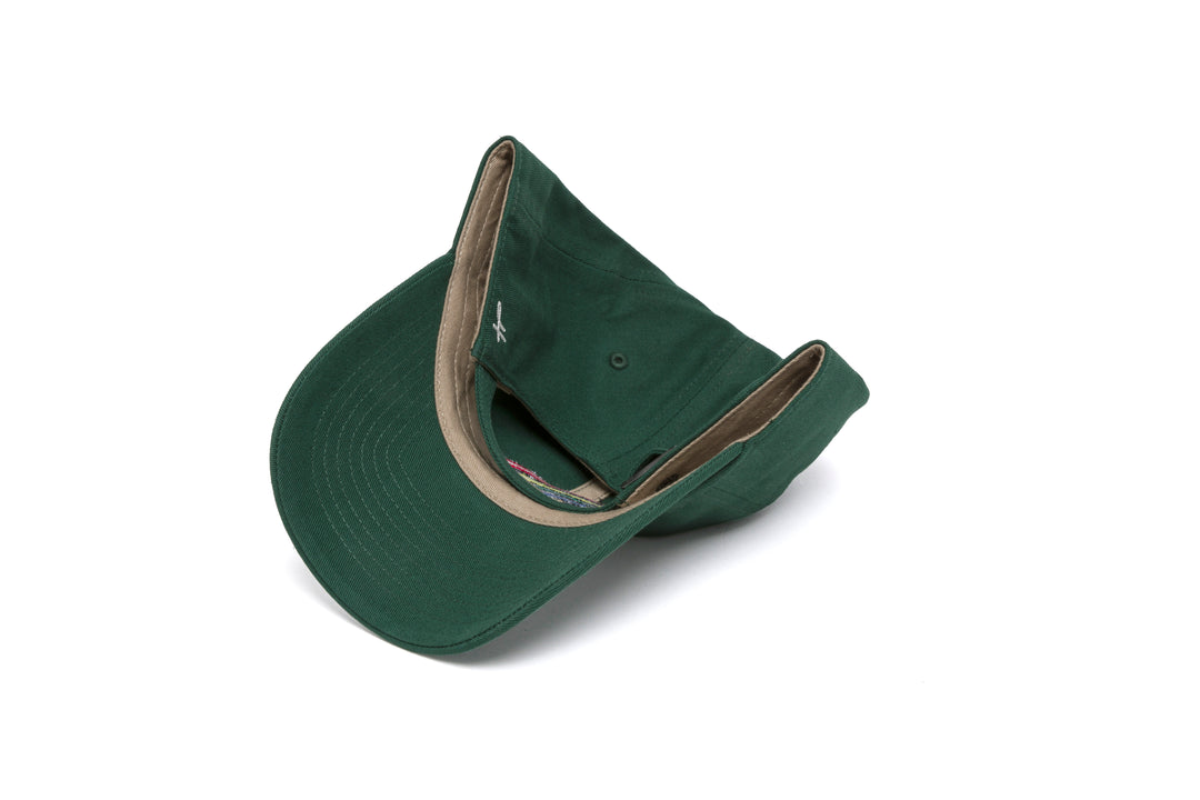 HAWAII Logo Dad wool baseball cap