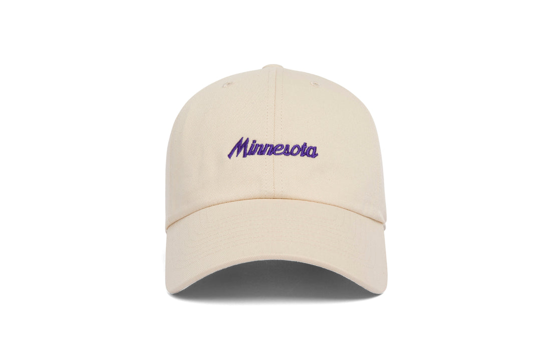 Minnesota Microscript Dad wool baseball cap