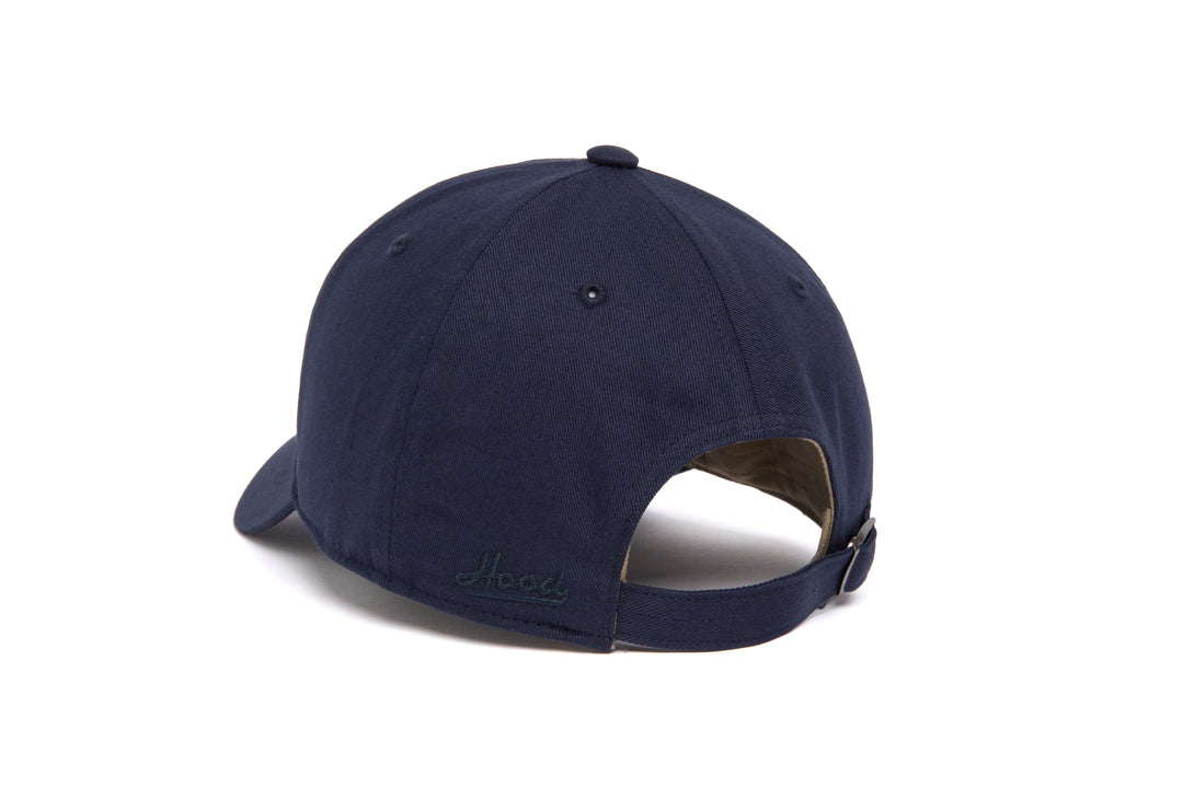 Seattle Microscript Dad wool baseball cap