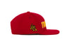 TUSKEGEE Pro Shop 3D Chain
    wool baseball cap indicator