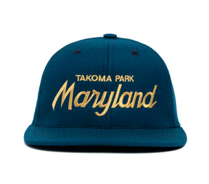 Takoma Park wool baseball cap
