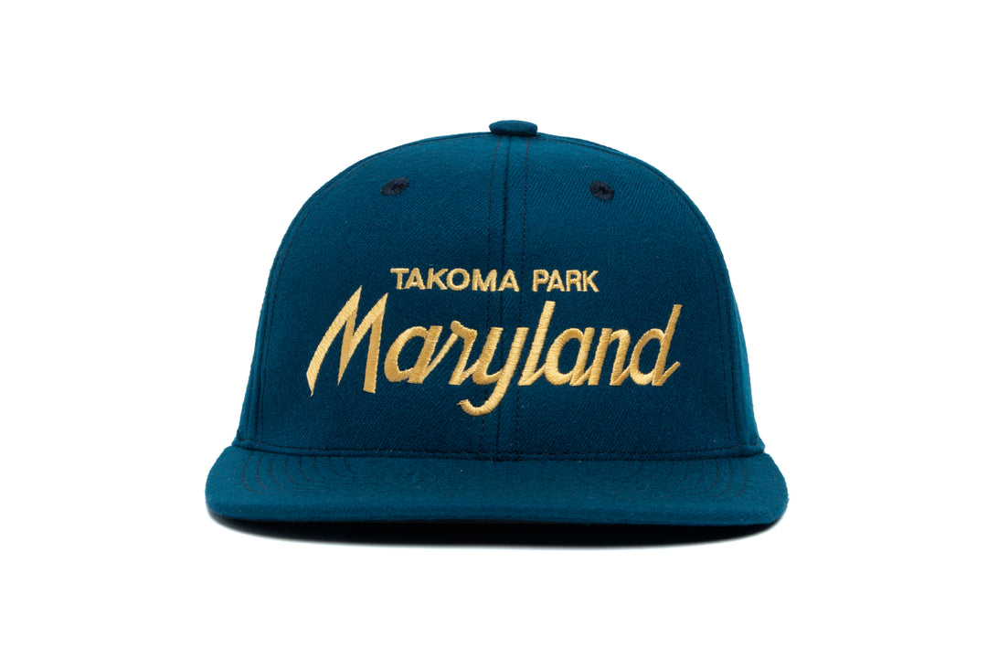 Takoma Park wool baseball cap