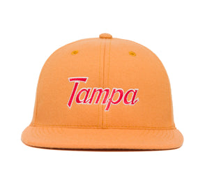 Tampa wool baseball cap