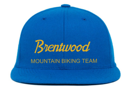 Hat Customizer wool baseball cap