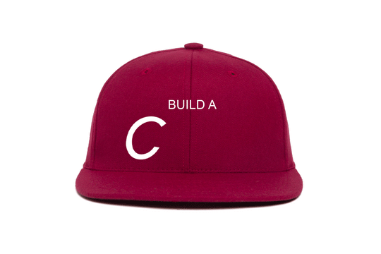 Custom Hat wool baseball cap