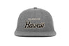 Hawaii
    wool baseball cap indicator