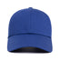 Get a 2nd Copy of your Hat
    wool baseball cap indicator