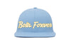 Bolts Forever
    wool baseball cap indicator